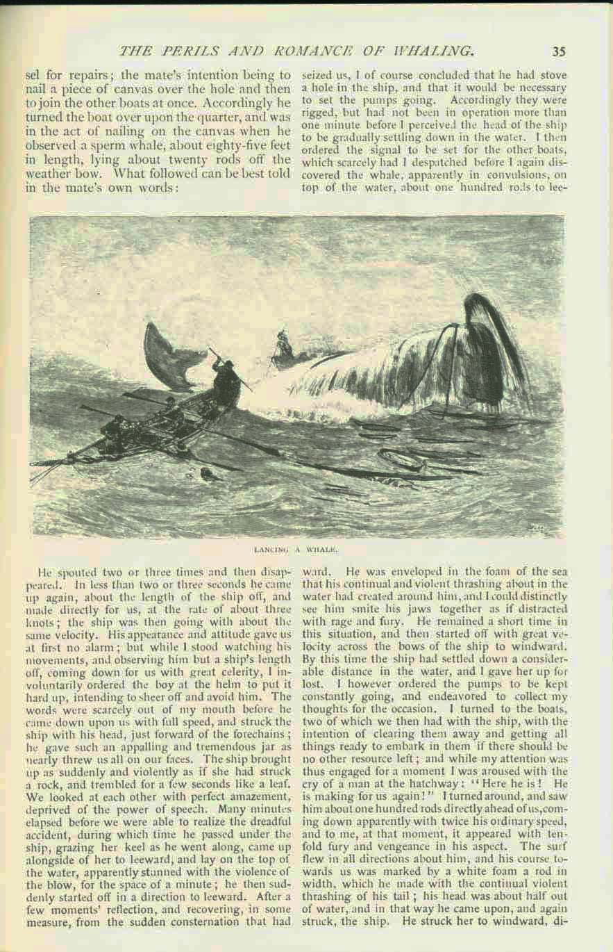 19th century whaling tales. vist0089l